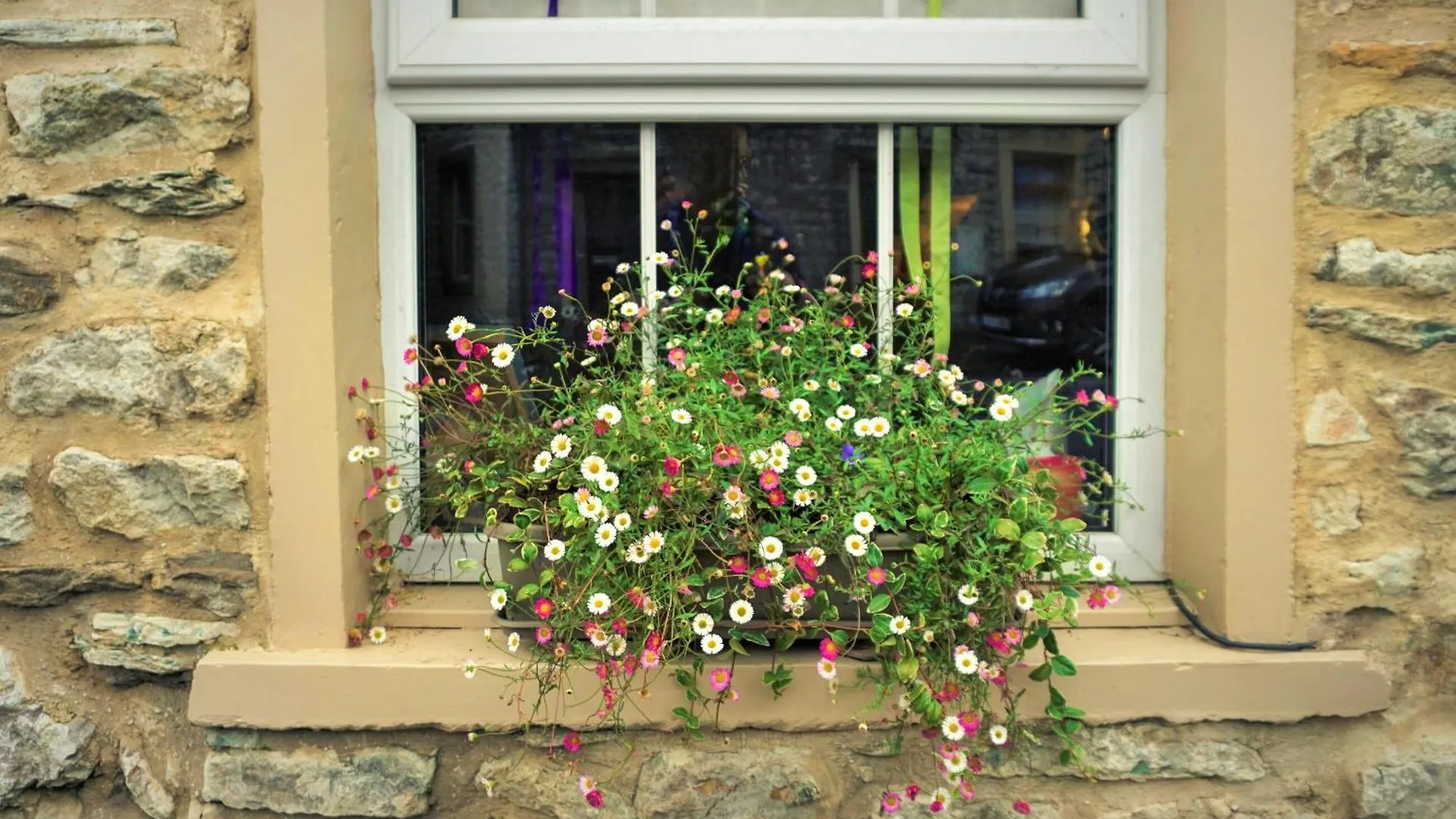 Enroot Cottage Ingleton  0*, Ingleton (North Yorkshire)